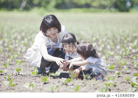 畑作業をする親子 畑作業をする親子 41088089