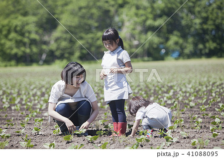 畑作業をする親子 41088095