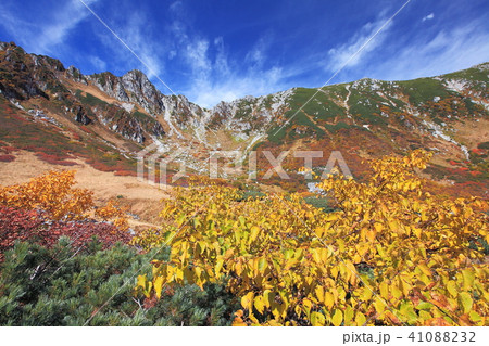 千畳敷カールの秋 千畳敷カールの秋 41088232