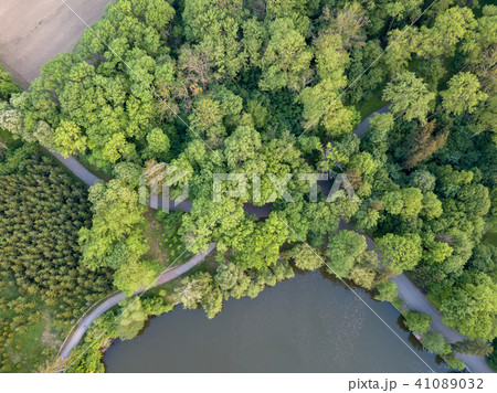 Top view of a green forest with trails and a lake 41089032