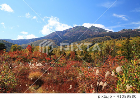 乗鞍高原の秋 乗鞍高原の秋 41089880