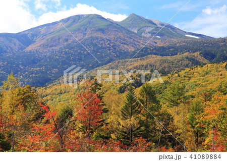 乗鞍高原の秋 41089884