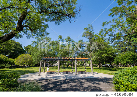 善福寺川緑地の緑陰広場 41090084