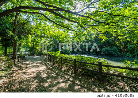 和田掘公園の風景 和田掘公園の風景 41090088