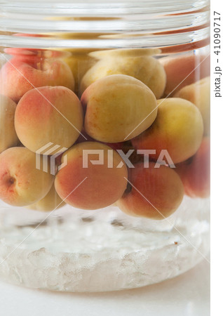 梅酒 梅酒 41090717