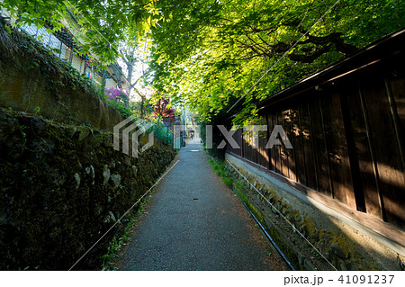 春の飛騨高山の住宅地の細い道 春の飛騨高山の住宅地の細い道 41091237