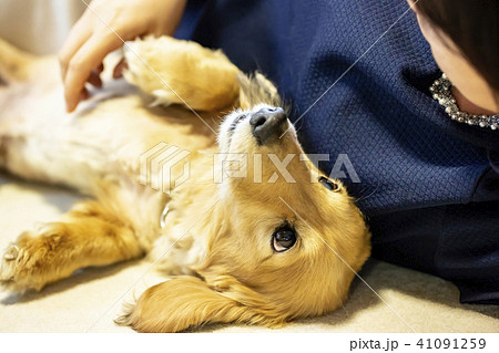 若い女性と室内犬が横に並んで寝ころがる 41091259