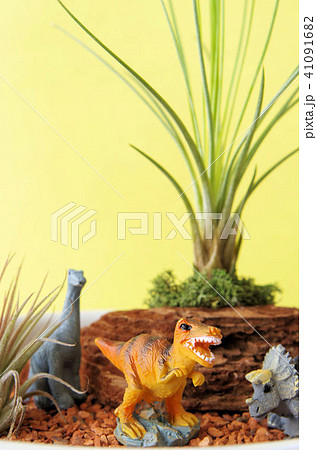 恐竜のジオラマ 41091682