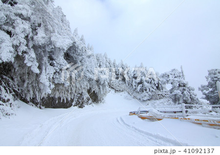 雪 スノー 雪景 41092137