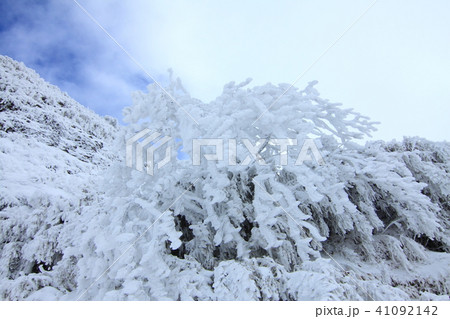 雪 スノー 雪景 41092142