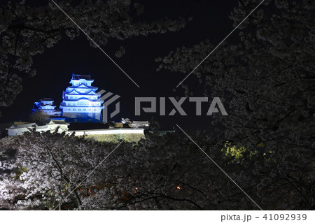 ブルーにライトアップされた姫路城と夜桜(三の丸広場より)/姫路城十景/世界文化遺産/日本のさくら名所 ブルーにライトアップされた姫路城と夜桜(三の丸広場より)/姫路城十景/世界文化遺産/日本のさくら名所 41092939