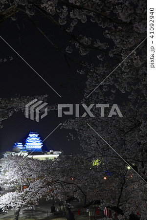 ブルーにライトアップされた姫路城と夜桜(三の丸広場より)/姫路城十景/世界文化遺産/日本のさくら名所 ブルーにライトアップされた姫路城と夜桜(三の丸広場より)/姫路城十景/世界文化遺産/日本のさくら名所 41092940