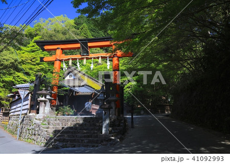 京都、嵯峨鳥居本の町並みと一之鳥居(新緑の季節)/国指定重要伝統的建造物群保存地区 京都、嵯峨鳥居本の町並みと一之鳥居(新緑の季節)/国指定重要伝統的建造物群保存地区 41092993