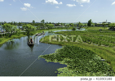 水郷佐原あやめパーク 水郷佐原あやめパーク 41093180