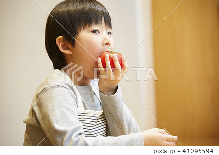 トマトを食べる子供 41095594