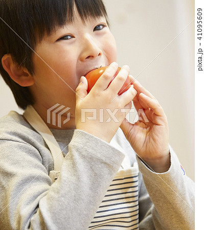 トマトを食べる子供 41095609