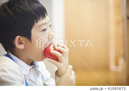 トマトを食べる子供 41095673
