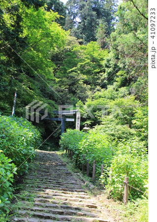 大平山神社あじさい坂 41097233