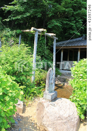 新緑の寺院(清水寺観音堂) 新緑の寺院(清水寺観音堂) 41097246