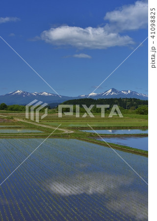 春の八甲田連峰 41098825