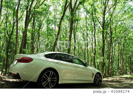 新緑のBMW 新緑のBMW 41099174
