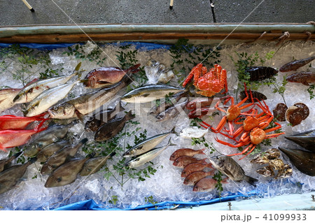 魚まつり 魚まつり 41099933