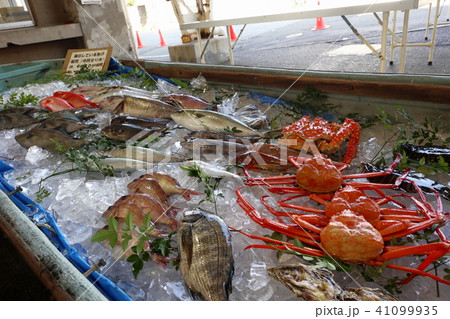 魚まつり 魚まつり 41099935