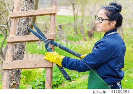 Gardener with secateurs near apple tree Gardener with secateurs near apple tree 41100598