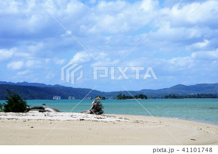 海 海 41101748