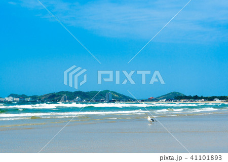 福間海岸【福岡県福津市】 福間海岸【福岡県福津市】 41101893