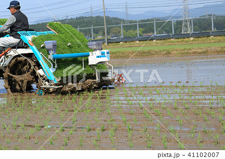 田植え機で田植えをする男性 イメージ 41102007