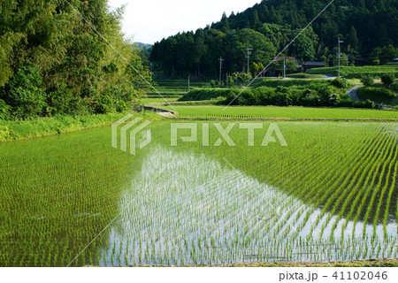 世界遺産の里天野地区 田園風景 世界遺産の里天野地区 田園風景 41102046