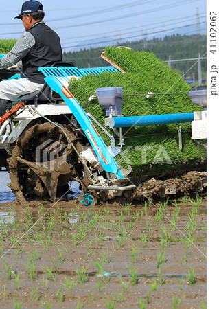 田植え機で田植えをする男性 イメージ 田植え機で田植えをする男性 イメージ 41102062