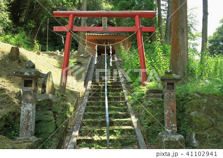 日枝神社 41102941