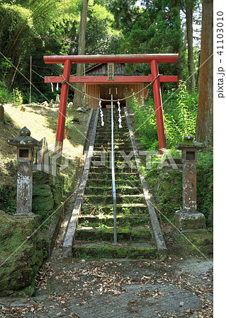 日枝神社 41103010