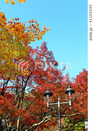 【静岡】修善寺 青空に映える紅葉とレトロな街灯 【静岡】修善寺 青空に映える紅葉とレトロな街灯 41103345