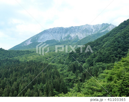 鍵掛峠から見た大山南壁の眺望　大山　初夏の大山 41103365