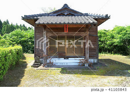 日枝神社 日枝神社 41103843