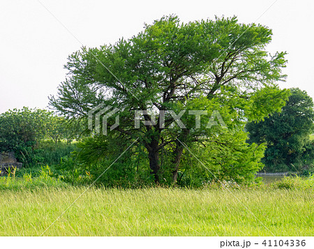 台湾 台北 台北市 41104336