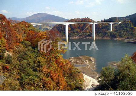 月山湖の紅葉 月山湖の紅葉 41105056