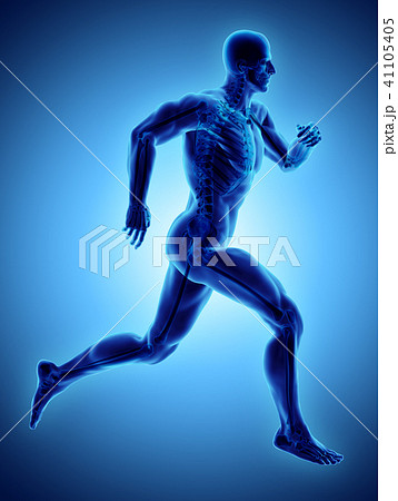 3d illustration male running x-ray skeleton. 41105405