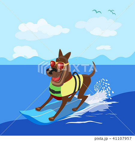 Summer fun sport 41107957
