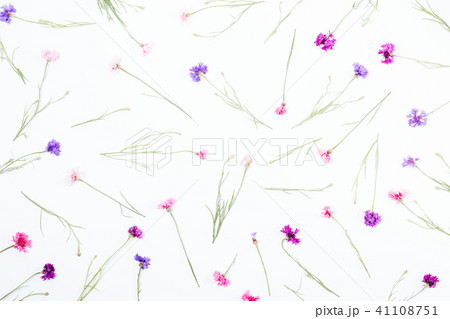 Floral pattern on white background, top view Floral pattern on white background, top view 41108751