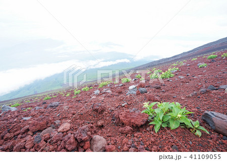 登山 登山 41109055