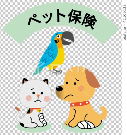 損害保険 ペット保険 損害保険 ペット保険 41109138
