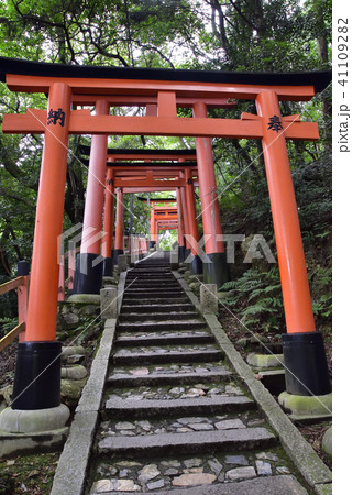 伏見稲荷大社 稲荷山鳥居群 伏見稲荷大社 稲荷山鳥居群 41109282