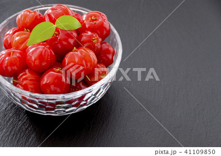 ピタンガ 41109850