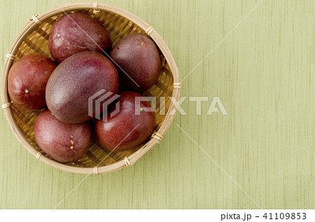 パッションフルーツ パッションフルーツ 41109853