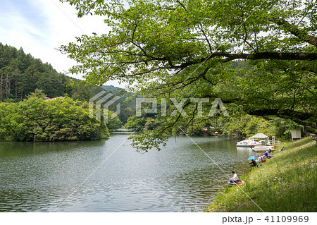鎌北湖 新緑 毛呂山町 鎌北湖 新緑 毛呂山町 41109969