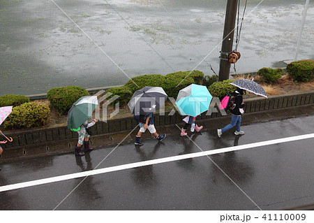 雨の日に傘をさして小学生が集団登校 41110009